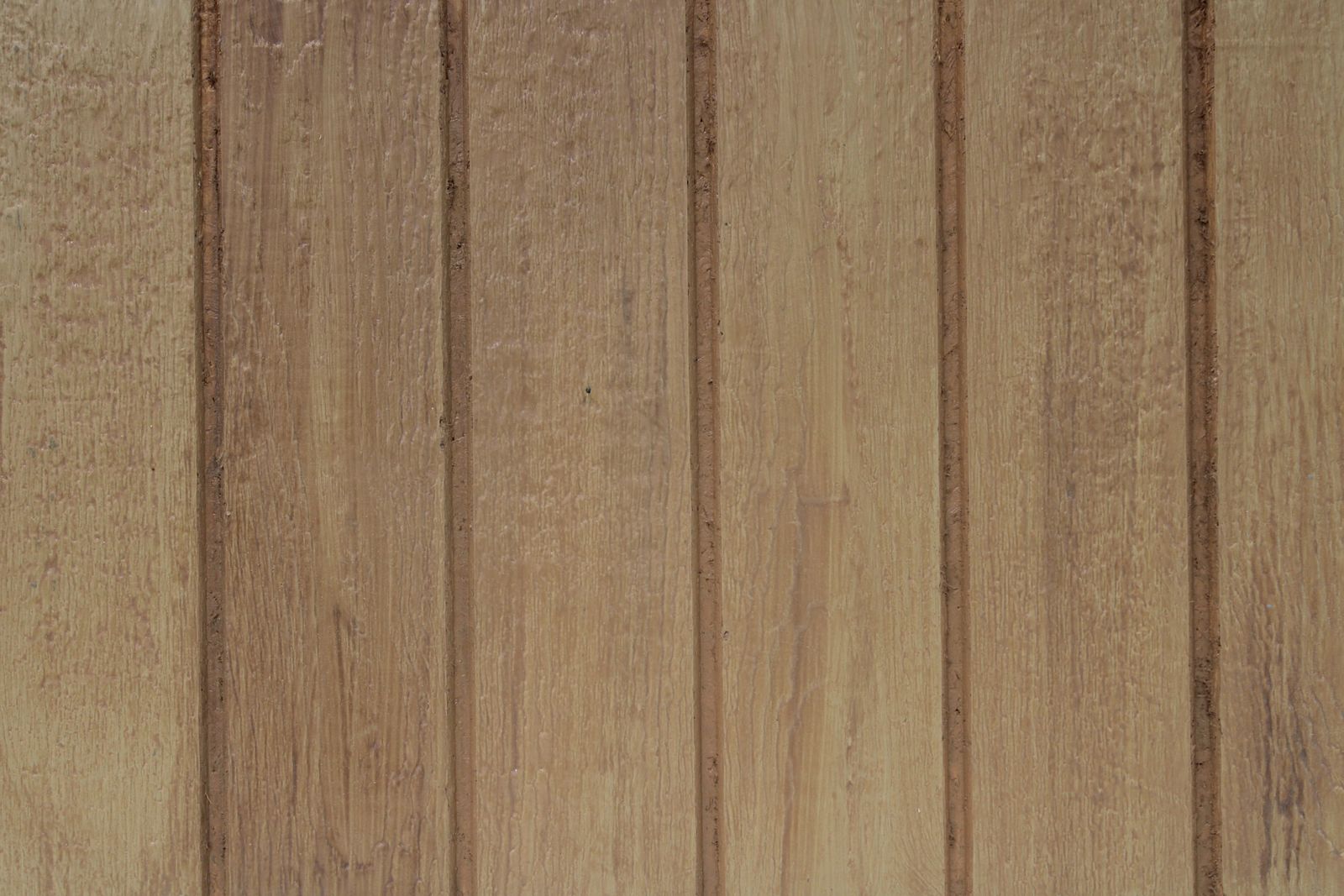 Cedar
